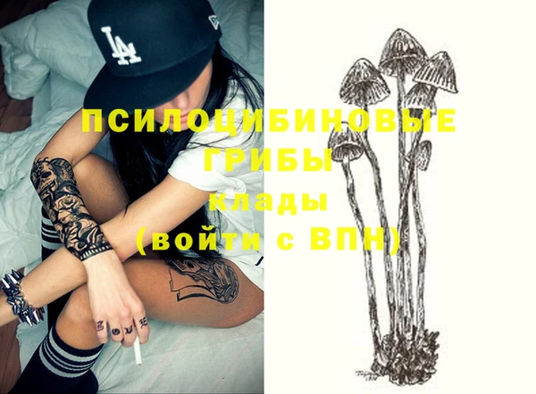 ПСИЛОЦИБИНОВЫЕ ГРИБЫ Аркадак