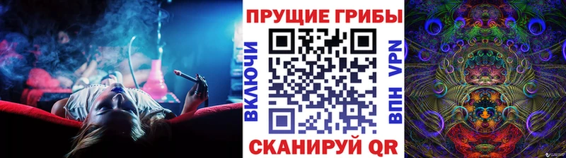 Псилоцибиновые грибы Psilocybine cubensis мега сайт Осинники где купить